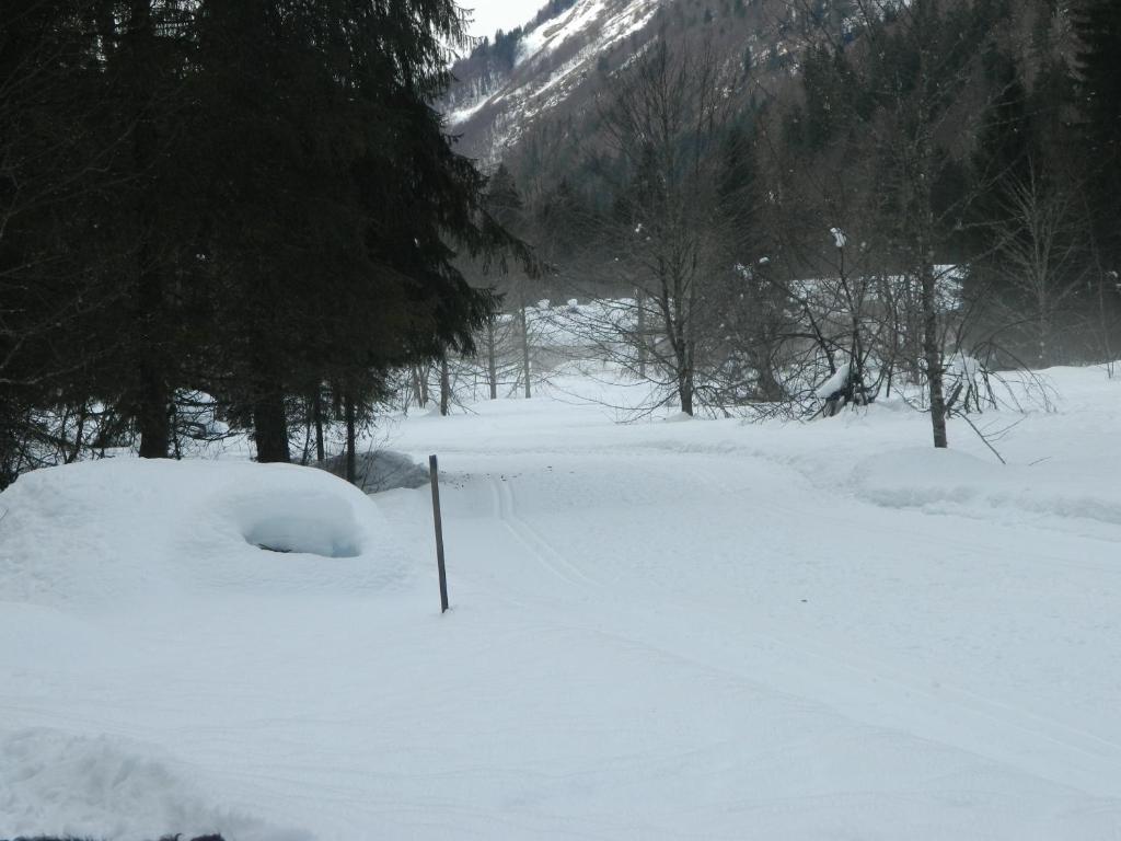 Logis Hotel Les Sapins 蒙特里永 外观 照片
