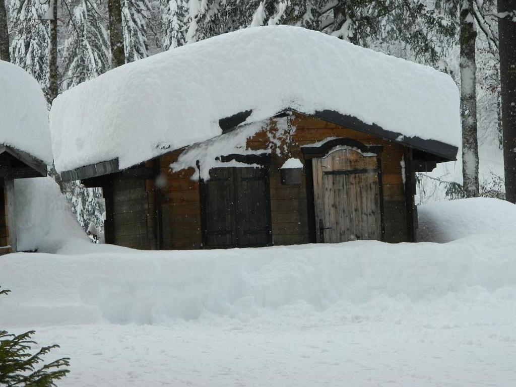 Logis Hotel Les Sapins 蒙特里永 外观 照片