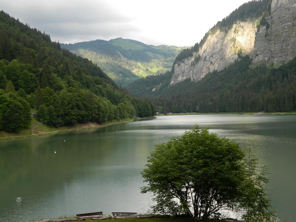 Logis Hotel Les Sapins 蒙特里永 外观 照片