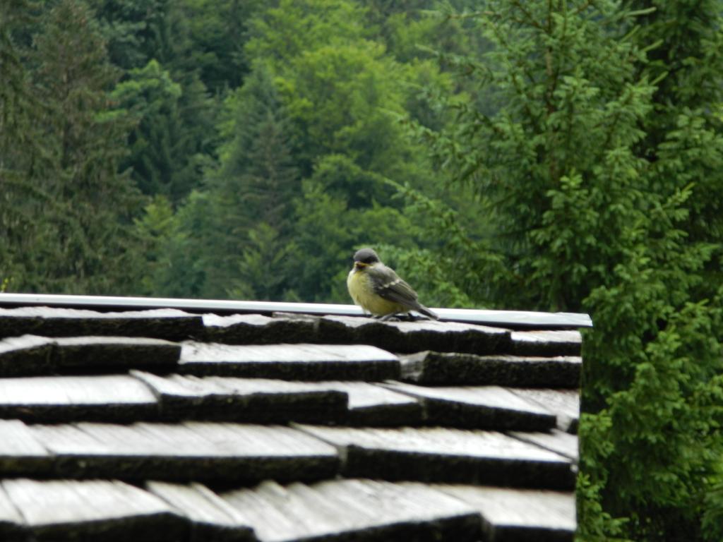 Logis Hotel Les Sapins 蒙特里永 外观 照片